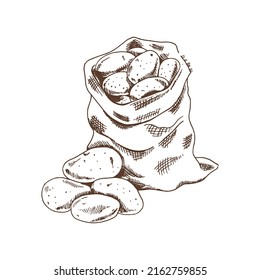 Dirty raw potatoes in the bagsack. Eco food vintage vector illustration.  Starch sketch illustration for print, web, mobile and infographics isolated on white background. 