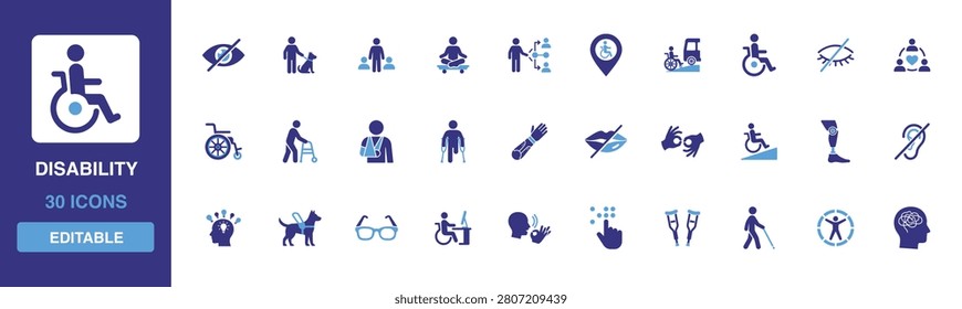 Disability icon set containing inclusive accessibility symbols, wheelchair assistance, guide dog support, sensory aid devices and prosthetic physical rehabilitation glyph designs.