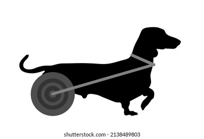 Disabled dog dachshund in wheels vector silhouette illustration isolated on white background. Handicapped dog in wheelchair shape symbol. Lovely pet injured after accident and veterinarian fix legs.