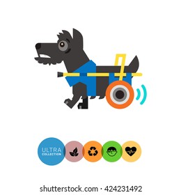 Disabled dog flat icon