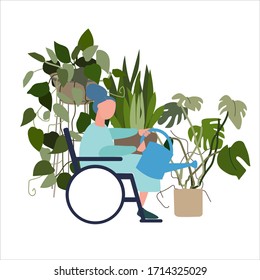 Disabled old woman watering house plants. Vector illustration in flat style. Potted plant cultivation concept. Adaptation to disability concept