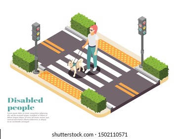 Disabled people isometric background with dog guide taking blind woman across road vector illustration