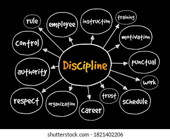 Discipline mind map, business concept for presentations and reports