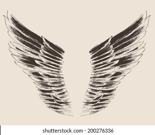 disclosed angel wings illustration, engraved style, hand drawn, sketch