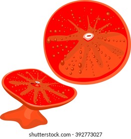 Discosoma red coral