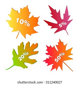 discount sale fall season vector design nature