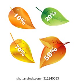 discount sale fall season vector design nature