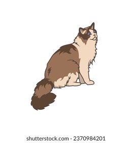 Discover adorable Ragdoll kittens. These high-quality illustrations exude cuteness, perfect for pet-related designs. simple illustration of ragdoll cat. eps10