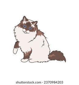 Discover adorable Ragdoll kittens. These high-quality illustrations exude cuteness, perfect for pet-related designs. simple illustration of ragdoll cat. eps10