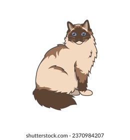 Discover adorable Ragdoll kittens. These high-quality illustrations exude cuteness, perfect for pet-related designs. simple illustration of ragdoll cat. eps10