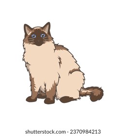 Discover adorable Ragdoll kittens. These high-quality illustrations exude cuteness, perfect for pet-related designs. simple illustration of ragdoll cat. eps10