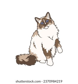 Discover adorable Ragdoll kittens. These high-quality illustrations exude cuteness, perfect for pet-related designs. simple illustration of ragdoll cat. eps10