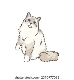 Discover adorable Ragdoll kittens in various charming poses. These high-quality illustrations exude cuteness, perfect for pet-related designs.