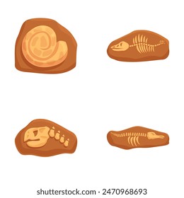 Discover the ancient world, a diverse collection of fossil illustrations for science, education, and museum exhibits