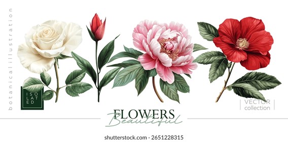 Discover Beautiful Vintage Floral Illustrations with stunning Roses, Peonies, and Hibiscus. Illustrations in the style of vintage painting and botanical illustration, Vectorized gouache illustrations.