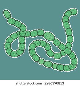 Discover the beauty and diversity of filamentous cyanobacteria Anabaena or Dolichospermum. Explore their ecological role and impact on aquatic ecosystems.