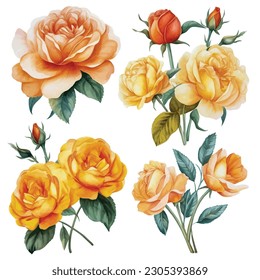 Discover the enchanting beauty of a captivating collection of watercolor Roses. Each delicate petal and vibrant hue is meticulously captured in these stunning artworks. 