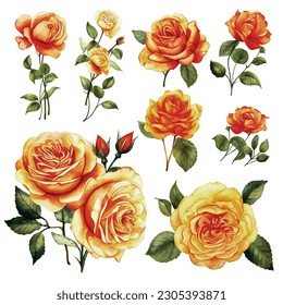 Discover the enchanting beauty of a captivating collection of watercolor Roses. Each delicate petal and vibrant hue is meticulously captured in these stunning artworks. 