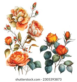 Discover the enchanting beauty of a captivating collection of watercolor Roses. Each delicate petal and vibrant hue is meticulously captured in these stunning artworks. 