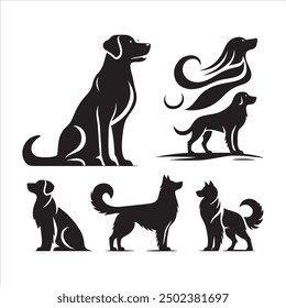Discover essential dog care tips for keeping your pet healthy and happy.