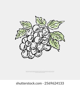 Discover grape drawing designs in Japanese hand-drawn minimalist style. Simple line vector art perfect for logos, prints, and decor. Elegant, modern, and versatile stock graphics for creative projects