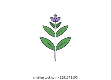 Descubra o sábio de alta qualidade com ilustrações de vetor de flores com arte de linha, silhuetas, ícones, designs de logotipo e clipart. Perfeito para design gráfico, marcas e projetos criativos. 