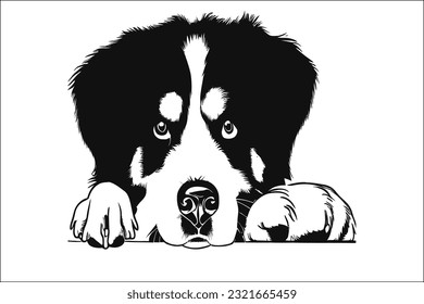 Discover the majestic charm of the Bernese Mountain Dog, a beloved and loyal breed. With its striking appearance and gentle temperament, this remarkable dog captures hearts effortlessly