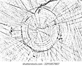 Descubra la textura natural y única de grunge vectorial de la madera cortada con grietas orgánicas y círculos concéntricos. Perfecto para diseños vintage, rústicos y abstractos, utilícelo como plantilla de superposición de textura