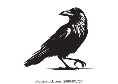 "Discover the striking beauty of crow silhouettes with this vector illustration. Perfect for graphic design projects, this collection features detailed and dynamic crow shapes in various poses.