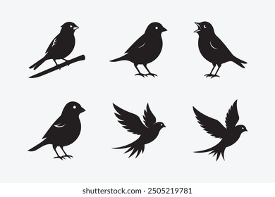 Discover a stunning collection of bird silhouette vectors, perfect for creative projects. These high-quality, scalable designs feature elegant bird outlines in various poses.