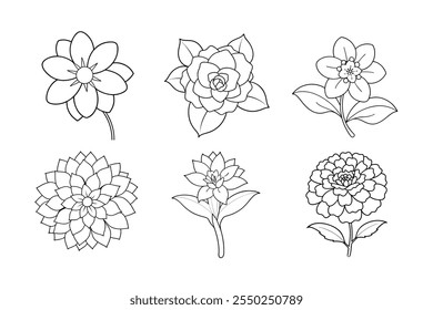 Discover stunning Marigold, Dahlia, Tuberose, Camellia, Waxflower, and Balloon Flower photos on Shutterstock. Perfect for creative projects with high-quality, royalty-free images