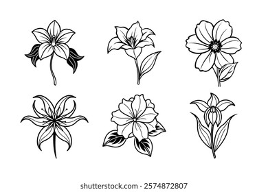 Discover a stunning silhouette vector bundle featuring Chocolate, Spider Lily, Fritillaria, Canna Lily, Balloon Flower, and Plumbago