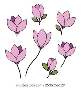 Discover this elegant set of hand-drawn magnolia flower illustrations, perfect for botanical-themed designs, wedding decor, and digital floral artwork with a timeless appeal.