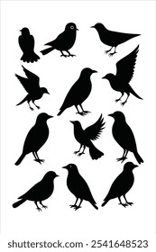 Discover this versatile silhouette birds set in vector format. Perfect for nature-inspired designs, patterns, and decor, adding an elegant touch to any creative project.