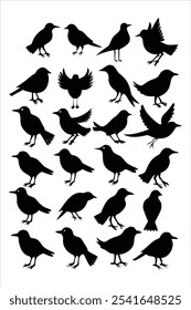 Discover this versatile silhouette birds set in vector format. Perfect for nature-inspired designs, patterns, and decor, adding an elegant touch to any creative project.