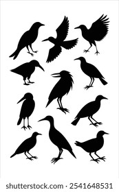 Discover this versatile silhouette birds set in vector format. Perfect for nature-inspired designs, patterns, and decor, adding an elegant touch to any creative project.