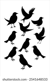 Discover this versatile silhouette birds set in vector format. Perfect for nature-inspired designs, patterns, and decor, adding an elegant touch to any creative project.