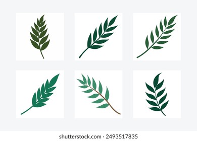 Discover the Willow Leaf Bundle - a collection of high-quality vector illustrations perfect for any project. Ideal for nature-inspired designs, logos, posters, and more