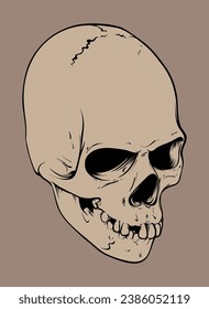 Discover a world of macabre elegance with our captivating skull vector illustrations. Perfect for adding a touch of dark mystique to your projects. Unleash your creativity now!