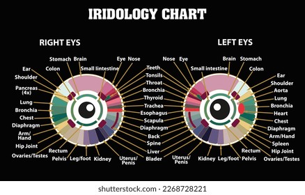 Discover Your Body's Hidden Needs with a Stunning Colorful Vector Iridology Chart!