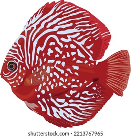 Discus Fish Fish Aquarium Fauna vector illustration cartoon