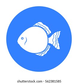 Discus fish icon black. Singe aquarium fish icon from the sea,ocean life black.