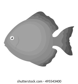 Discus fish icon monochrome. Singe aquarium fish icon from the sea,ocean life monochrome.