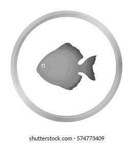 Discus fish icon monochrome. Singe aquarium fish icon from the sea,ocean life monochrome.