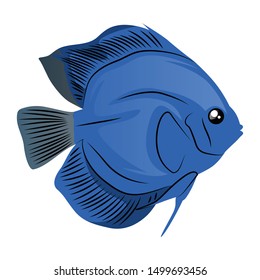 Discus Fish Vector Illustration Isolated On Stock Vector (Royalty Free ...