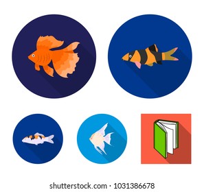 Discus, gold, carp, koi, scleropages, fotmosus.Fish set collection icons in flat style vector symbol stock illustration web.