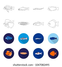 Discus, gold, carp, koi, scleropages, fotmosus.Fish set collection icons in outline,flet style vector symbol stock illustration web.