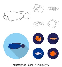 Discus, gold, carp, koi, scleropages, fotmosus.Fish set collection icons in outline,flat style vector symbol stock illustration web.