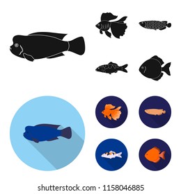 Discus, gold, carp, koi, scleropages, fotmosus.Fish set collection icons in black,flat style vector symbol stock illustration web.