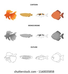 Discus, gold, carp, koi, scleropages, fotmosus.Fish set collection icons in cartoon,outline,monochrome style vector symbol stock illustration web.
